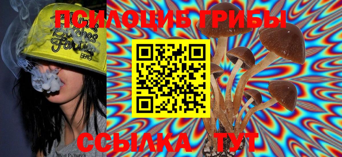 Псилоцибиновые грибы Magic Shrooms Лениногорск
